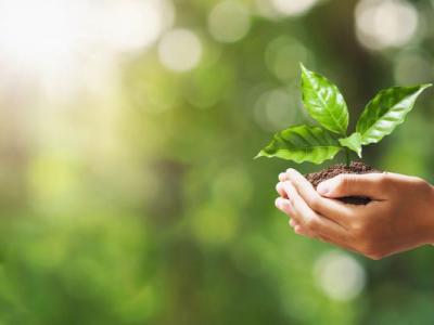 Reducing landfill image