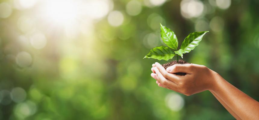 Energy White Paper - Powering Our Net-Zero image