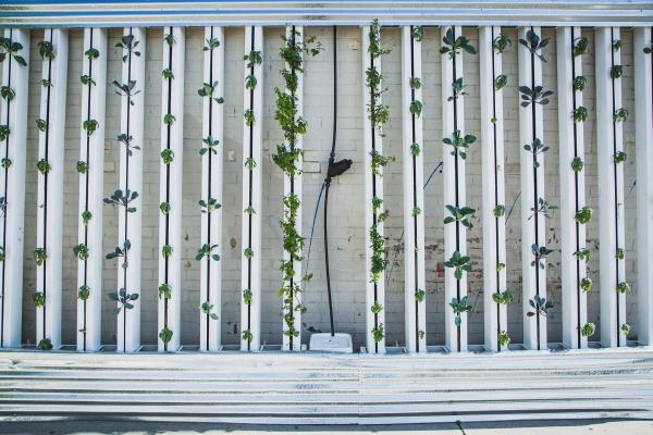 GOING VERTICAL FOR BIGGER CROP YIELDS! image
