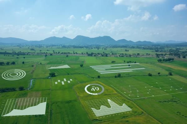 LOW CARBON AND RENEWABLE ENERGY OPTIONS FOR FARMS image