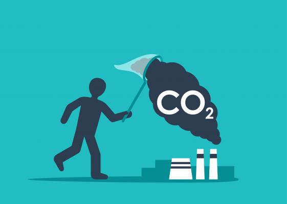 Carbon Capture, Utilization and Storage image