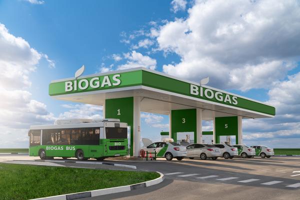 Decarbonising Transport image