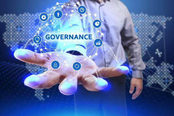 Programme Governance image