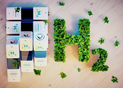 Blue or Green – image